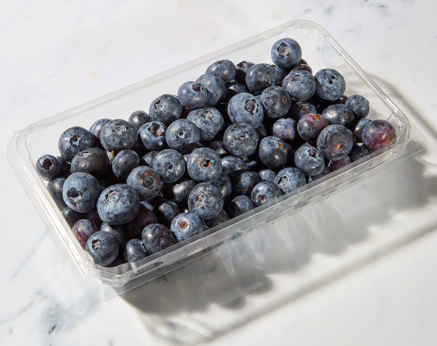 Organic Blueberries